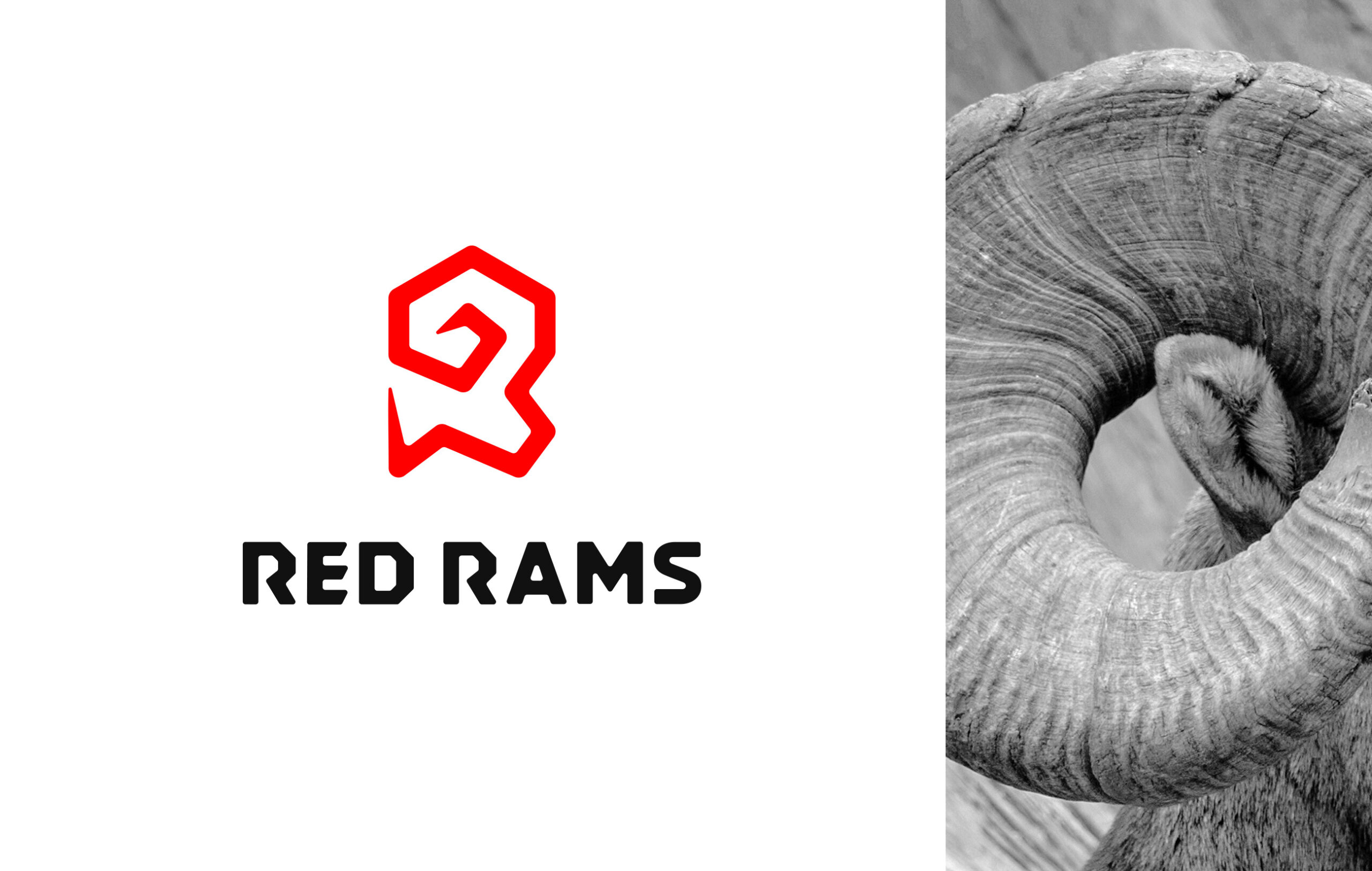 Red Rams